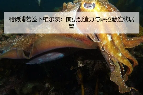 利物浦若签下维尔茨：前腰创造力与萨拉赫连线展望