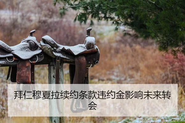 拜仁穆夏拉续约条款违约金影响未来转会