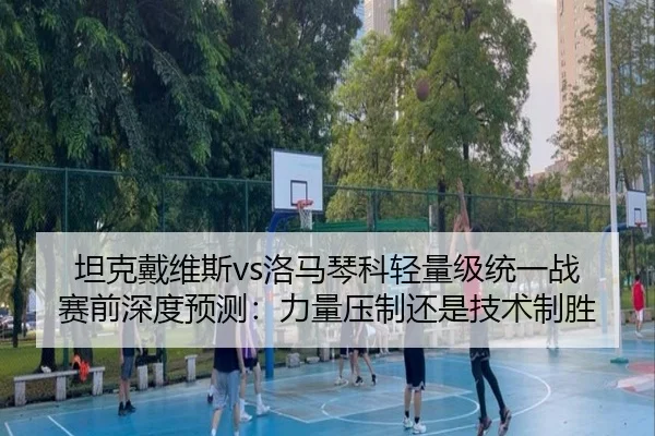 坦克戴维斯vs洛马琴科轻量级统一战 赛前深度预测：力量压制还是技术制胜