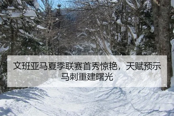 文班亚马夏季联赛首秀惊艳，天赋预示马刺重建曙光