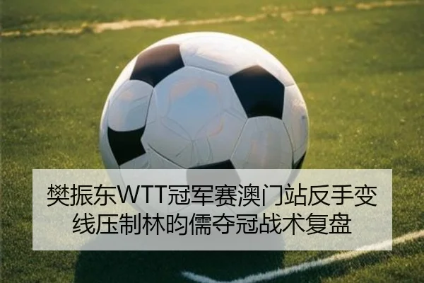 樊振东WTT冠军赛澳门站反手变线压制林昀儒夺冠战术复盘